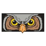 AR5 Owl 13 RQC