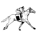 HORSE050