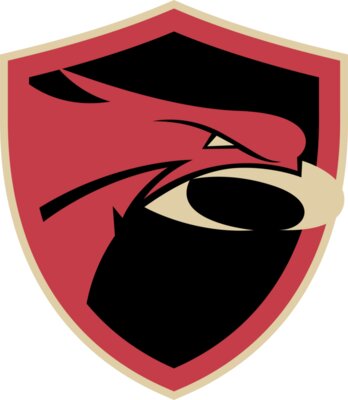 Falcons Logo   no contour