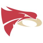 Falcons Head Logo