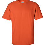 DryBlend™ 50 Cotton/50 DryBlend™Poly T Shirt
